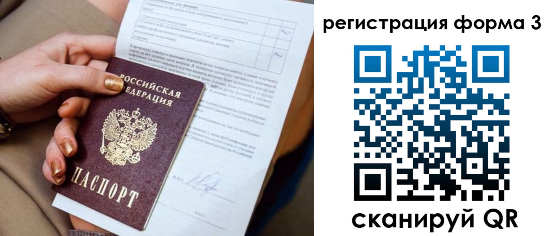 прописка гарантия в Светлом